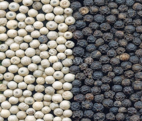 Black Pepper / White Pepper